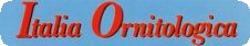 Italia Ornitologica Logo